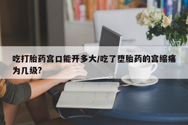 哪里有打胎药购买吃打胎药宫口能开多大/吃了堕胎药的宫缩痛为几级?